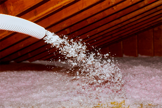 Attic Disinfecting and Exclusion